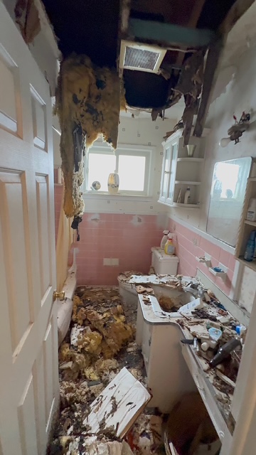 Bathroom mid-demolition, down to framing and subfloor